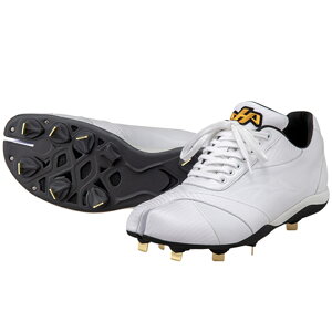 n^P} XpCN ܌^XpCN tabiw