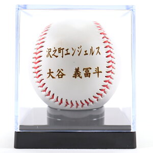 ���[�U�[���H ���[�U�[������� �L�O�{�[�� �V���[�P�[�X�t�� signball-1gjyb300-ls