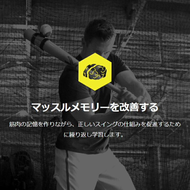 楽天市場】野球 打撃練習アイテム ラインドライブプロトレーナー 