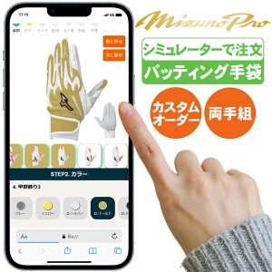 ~Ymv I[_[obeBO VRp[A[N piV~[Vwpjmp-powerarcorder