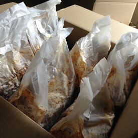 しいたけ完熟菌床　『にょきっと』　プロフェッショナルユース　6個入り　(プロ6)