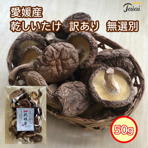 愛媛産乾燥しいたけ(菌床) 訳あり無選別 50g