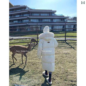 SASA̓Lclt@[J[̎O\ȃt[ht.Õ_ER[głp̒߂.̃zCg_bN_ER[gł