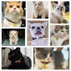 �`���[�J�[ �A�N�Z�T���[ �l�b�N���X �W���G���[ ���킢�� ������� ���[�h �^�O ��� �����\ �L