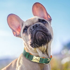 `[J[ ANZT[ lbNX WG[ 킢  [h ^O  \ 