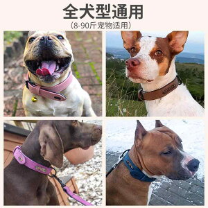 `[J[ ANZT[ lbNX WG[ 킢  [h ^O  \ 