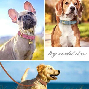 `[J[ ANZT[ lbNX WG[ 킢  [h ^O  \ 