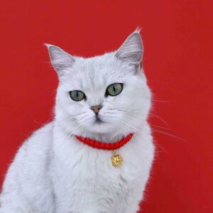 `[J[ ANZT[ lbNX WG[ 킢  [h ^O  \ L