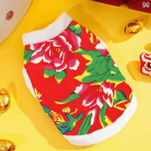 ybg ybgpi  킢  hXAbvACe  JWA xXg