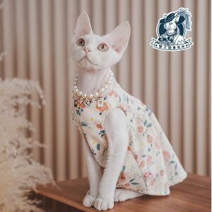 ybg ybgpi  킢  hXAbvACe  JWA xXg