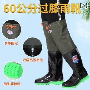 Cu[c EH[^[V[Y cV[Y jp  G h nC`[u    F