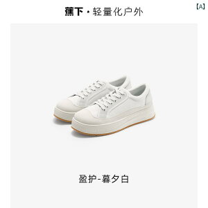  Xj[J[ fB[X  X|[c JWA ʋC e h y ~  F 