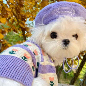 hbOEFA 킢 Xq L H~ }`[Y ViEU[ x[X  ^ O[ bh IW