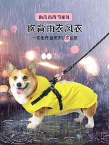 hbOEFA CR[g ybgpi  h [v ی R[M[ ^ WPbg CG[ u[
