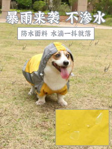 hbOEFA CR[g  WPbg ^ ^ h ybgpi R[M[ AEghA CG[ O[