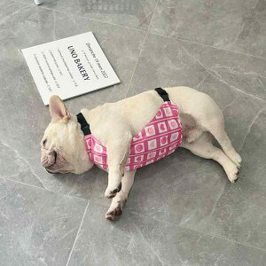 hbOEFA Gv R[M[ h ybgpi Č pO ی  t h JWA N} Aj} ԕ p^[ zCg sN CG[