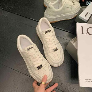 Xj[J[  fB[X  JWA U[ X|[c Ehwbh  