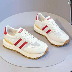 Xj[J[ fB[X  tHXgKv bV ʋC U[ JWA X|[c W[ Ehwbh 