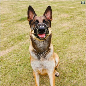 h~Jo[   p ʖih~ ybgObY W[} VFp[h ^^ S[fgo[  Xgbp[ I[v}EX N[Y}EX