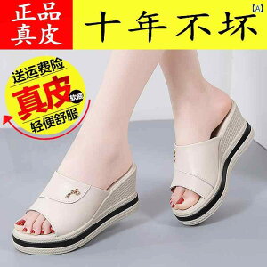 p Xbp R[h i v X[vT_   JWAV[Y Y   EFbW nCq[ x[W zCg ubN