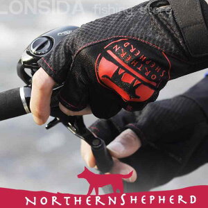  A[tBbVO O[u 3{w Ăh~ ϖ ~ C ނ AEghA Vv 