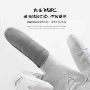  ނ ~ ϖ ʋC Ăh~ C t tBK[ AEghA tBbVO Y