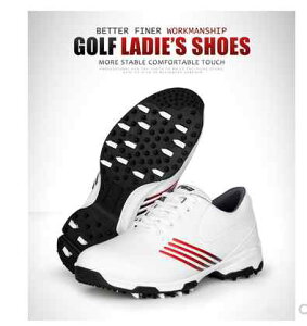 fB[X StV[Y y h ~ AEg\[ AEghA X|[c  O[