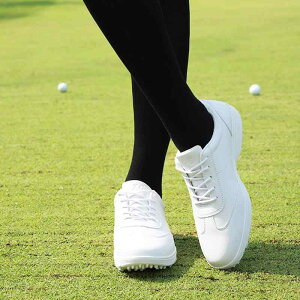 fB[X StV[Y t@Co[ U[ Œ B h ʋC Vv X|[c ejX zCg