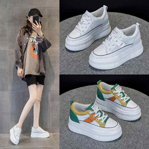 vbgtH[ V[Y H g C fB[X  JWA VO zbg zCg IW