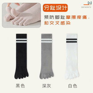  p C 5{ w \bNX ~bh J[t  CXvbg gD O `[u X|[c ~ t[TCY ubN O[ zCg