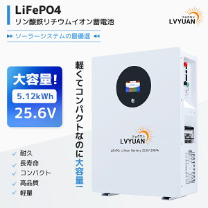 LVYUAN(NG)25.6V 200Ah 5.12kWh _S`ECIobe[ ƒp~dr 4000-10000TCN LiFePO4 \[[VXe ItObh LsO Ԓ \[[d obNAbv
