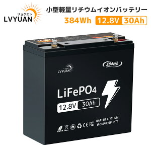 【Grade-A電池セル-5年保証】LVYUAN(リョクエン)リン酸鉄リチウムイオンバッテリー 12V30Ah 384Wh 2.8kg超軽量 3000回以上充放電サイクル 高寿命10年使用可能 先端なBMS保護技術 容量拡張可能 IP65防水 Li