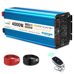LVYUANiNGjCo[^[g 24V 4000W ő 8000W DC24VijAC100Vi𗬁jϊ 50HZ 60HZ J[Co[^[ ЊQ΍ nk h AEghA ԒObY Lb`J[ LsO