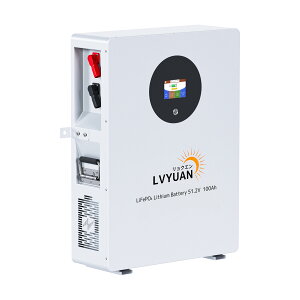 yN[|161,498~`9/24܂ŁzLVYUAN(NG) 51.2V 100Ah 5.12kWh LiFePO4 _S`ECIobe[ ƒp~dr [dTCN6000ȏ \[[VXe ItObh Ls