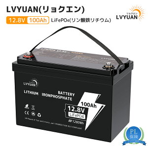 y|Cg10{zyGrade-AdrZ-5Nۏ؁zLVYUAN 12v 100ah _S`ECIobe[ LiFePO4dr 1280Wh BMS120A 3000TCNȏ\ 10N BMSی  LsOJ