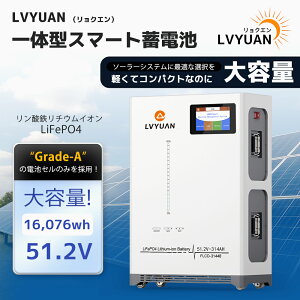 LVYUAN(NG) y16.076kWhEEVE Grade-AZE5Nۏ؁z51.2V/314Ah _S`ECIobe[ ƒp~dr ƒp\[[VXe ItObhALsOAԒA\[[