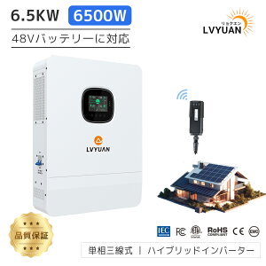 yN[|p161,498~ }\zLVYUAN 6.5KW g nCubhCo[^[ ItObh DC48VAC100V/200V PO 48Vobe[Ή 6500W d@\ \[[[d zd