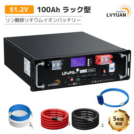 LVYUAN 51.2V/100Ah 5.12kWhリン酸鉄リチウムイオンバッテリー ラック型 タッチパネル RS485 CAN RS232 テータ通信 6000回以上サイクル BMS搭載 薄型&軽量 太陽光発電【安心国内サポート】【EVE LiFePO4 セル】
