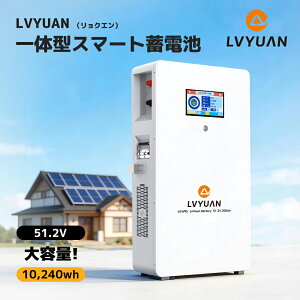 �y�N�[�|���K�p��314,498�~�z LVYUAN(�����N�G��)51.2V 200Ah 10.24kWh LiFePO4 �����_�S���`�E���C�I���o�b�e���[ �ƒ�p�~�d�r 4000-10000�T�C�N�� �\�[���[�V�X�e�� �I�t�O���b�h �L�����s���O �\�[���[