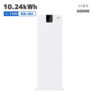 y10Nۏ؁zLVYUAN(NG)_S`ECIobe[ 51.2V 100AH*2 200AH 10.24kWh ƒp~dr+5000W g ItObh nCubh Co[^[ Zbg d΍ ߓd y{{