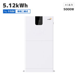 yX[p[ SALE 305,998~zy10Nۏ؁zLVYUAN(NG)_S`ECIobe[ 51.2V 100AH 5.12kWh ƒp~dr+5000W g ItObh nCubh Co[^[ Zbg 