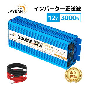LVYUANiNGjCo[^[ g 12V 100V 3000W ő6000W DC AC 50HZ/60HZؑ   J[Co[^[ ԒObY X}z[d AEghA ً} hЗpi Lv  Lb`J[ L