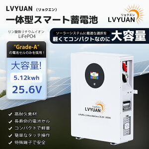 yN[|161,498~`9/24܂ŁzLVYUAN(NG)25.6V 200Ah 5.12kWh _S`ECIobe[ ƒp~dr 4000-10000TCN LiFePO4 \[[VXe ItObh LsO Ԓ