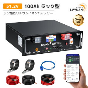 LVYUAN 51.2V/100Ah 5.12kWh�����_�S���`�E���C�I���o�b�e���[ ���b�N�^ �^�b�`�p�l�� RS485 CAN RS232 �e�[�^�ʐM 6000��ȏ�T�C�N�� BMS���� ���^&�y�� ���z�����d�y���S�����T�|�[�g�z�yEVE LiFePO4 �Z��