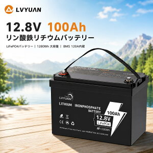 �y�N�[�|���K�p��24,648�~�z�yGrade-A�d�r�Z��-5�N�ۏ؁zLVYUAN 12v 100ah �����_�S���`�E���C�I���o�b�e���[ LiFePO4�d�r 1280Wh BMS120A���� 3000��T�C�N���ȏ�\ 10�N���� BMS�ی� ������� �L�����s��