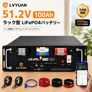 �y�N�[�|���K�p��135,998�~�zLVYUAN 51.2V/100Ah 5.12kWh�����_�S���`�E���C�I���o�b�e���[ ���b�N�^ �^�b�`�p�l�� RS485 CAN RS232 �e�[�^�ʐM 6000��ȏ�T�C�N�� BMS���� ���^&�y�� ���z�����d�y���S����