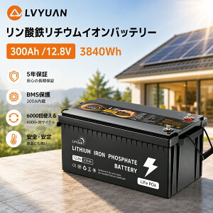 �yGrade-A�d�r�Z��-5�N�ۏ؁zLVYUAN 12.8V/300Ah 3.84kWh �����_�S���`�E���C�I���o�b�e���[ LiFePO4 ����200ABMS 4000��T�C�N���ȏ�\ 10�N���� ������� �L�����s���O�J�[ �Ԓ��� �h�� �\�[���[�[�d LV-1