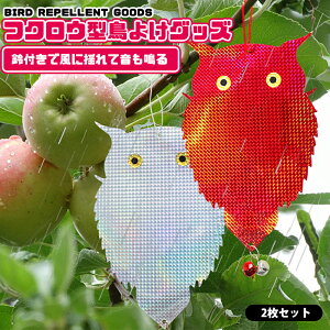 y2SETIEP5{z悯 悯 tNE^ JX悯 炷 JX΍ JXރObY hhb΍ ΍ u Q΍ tQ ݂艺 t  쏜 ΍   