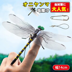 yX[p[SALEIzIj}  14cm tBMA St A g{ 悯 ΍ Sst ނ Ro Lbv O 悯͌^  XYo`  Lv 