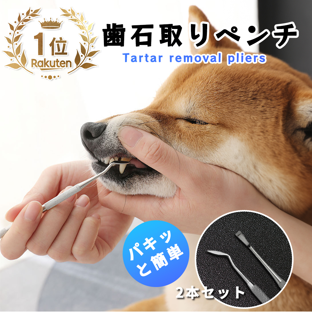 犬 歯磨き粉 ゼオライトの人気商品・通販・価格比較 - 価格.com